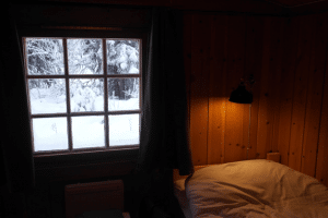 Read more about the article Rustic Chic: Basement Finishing Ideas for Utah Cabins