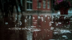 Read more about the article Here Is What To Do If Your Basement Floods Every Time It Rains